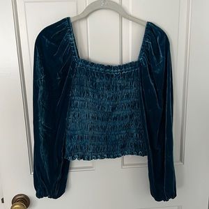 Anthropologie Puff-sleeved Blouse in Blue Velvet